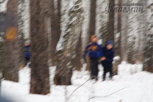 Прогулка с элементами ОФП